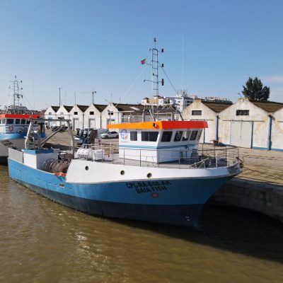 Baía Fish 2