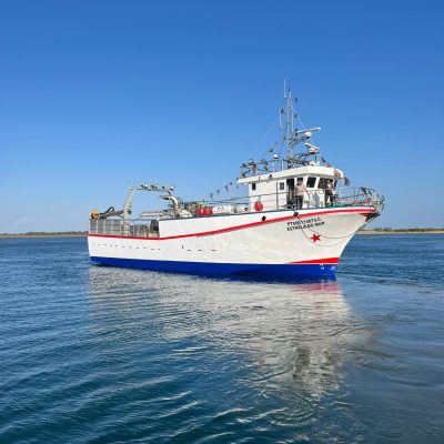 Estrela do Mar 2