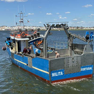 Milita 2